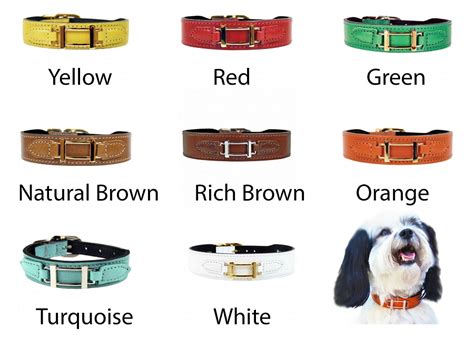 replica hermes dog collar